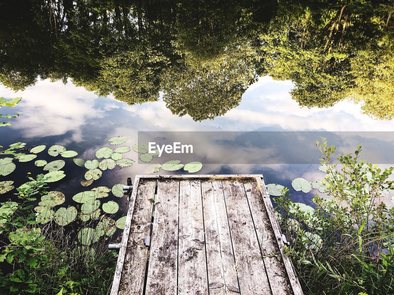 High angle view of trees reflecting on lake