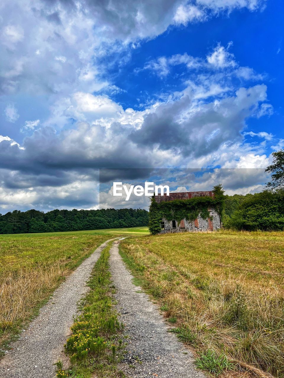 sky, cloud, landscape, plant, rural area, environment, field, grass, nature, rural scene, road, land, hill, agriculture, meadow, horizon, scenics - nature, the way forward, transportation, no people, prairie, footpath, beauty in nature, architecture, travel, tree, blue, outdoors, dirt road, grassland, tranquility, travel destinations, farm, day, cloudscape, dirt, building, crop, plain, non-urban scene, tranquil scene, green, vanishing point