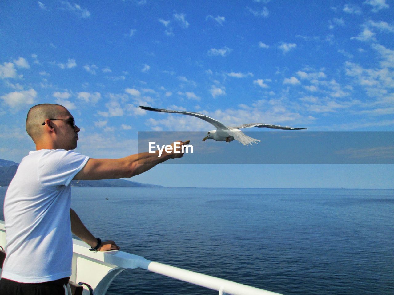 Young man flying bird by sea against sky