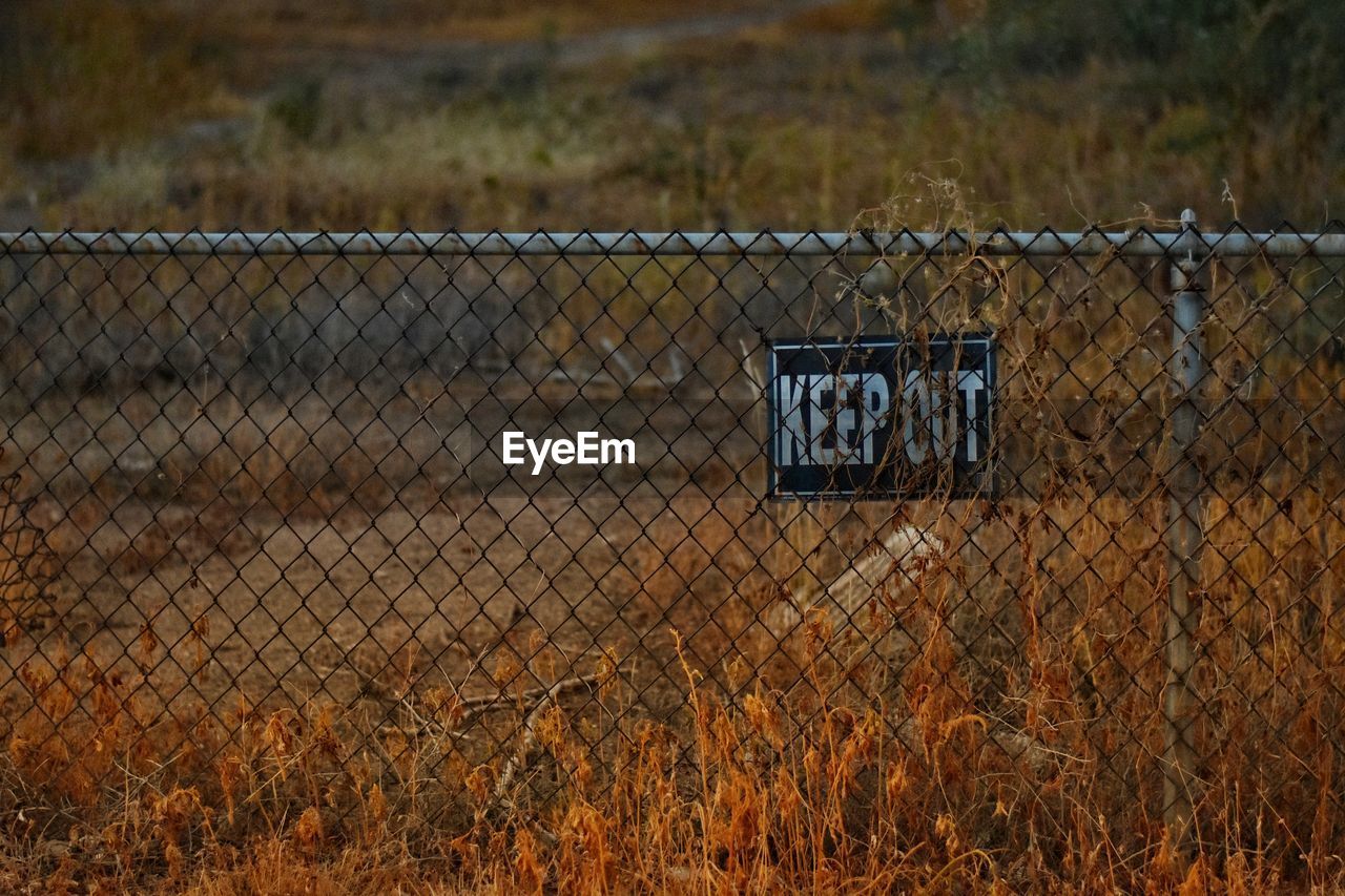 VIEW OF BASKETBALL HOOP