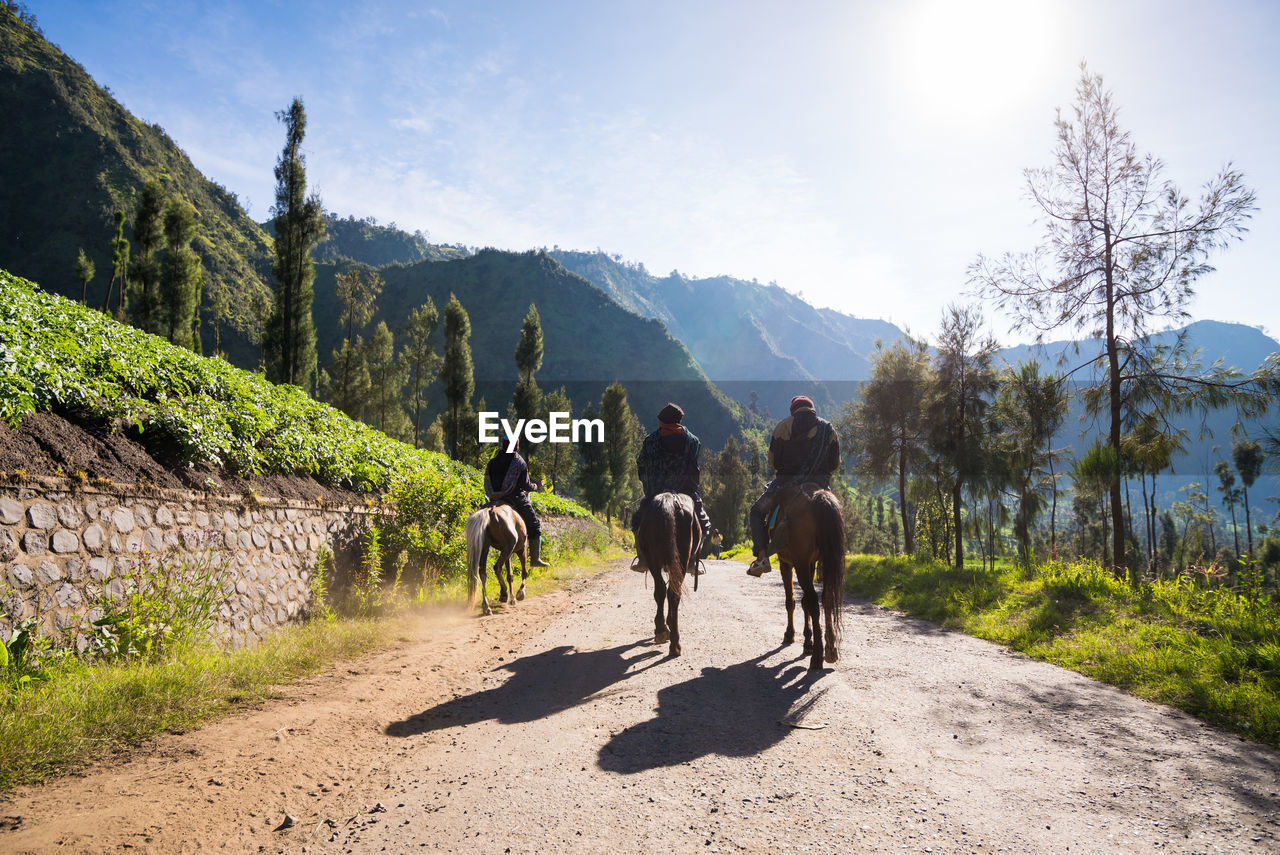 Horseman near mount penanjakan,the best views from mount bromo, east java, indonesia