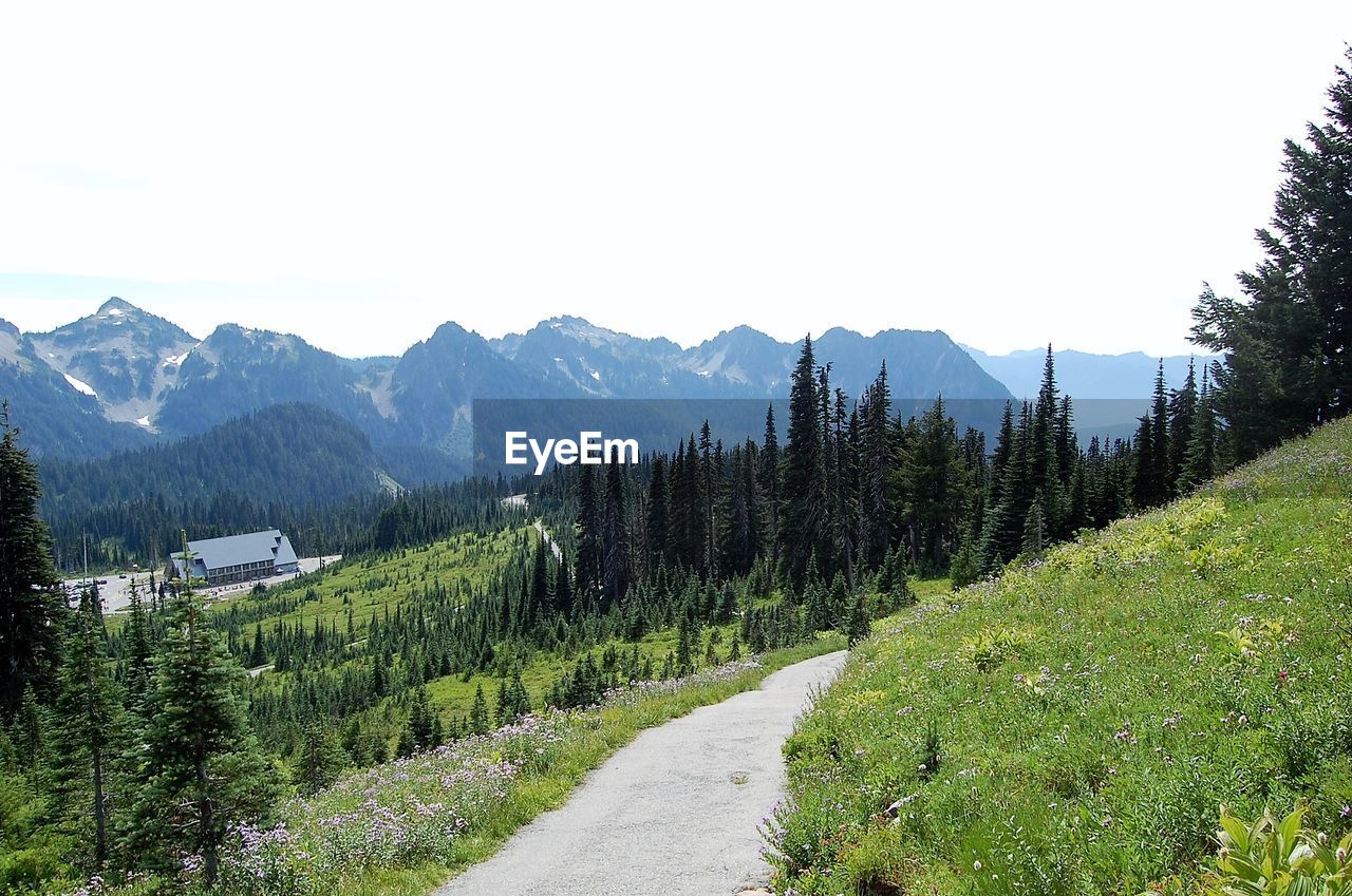 Scenic view of landscape against clear sky