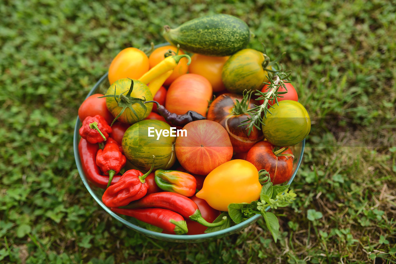 Close-up of tomatoes and chili peppers in basket on field