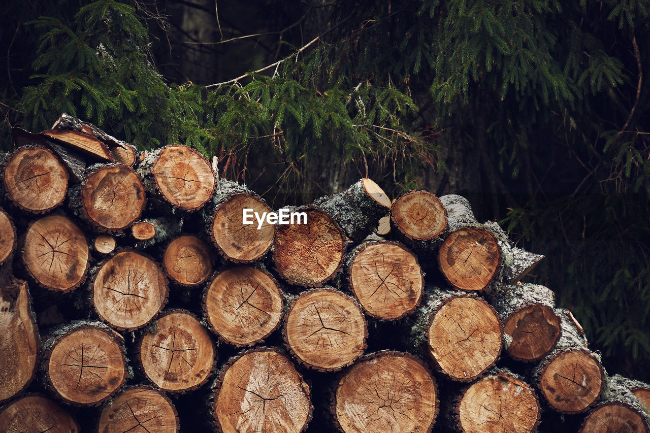 Logs layed in a stack next to a forest