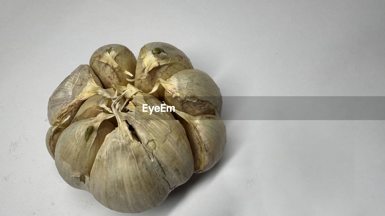 food, food and drink, produce, indoors, healthy eating, vegetable, freshness, still life, garlic, wellbeing, studio shot, spice, no people, ingredient, plant, garlic bulb, close-up, flower, raw food
