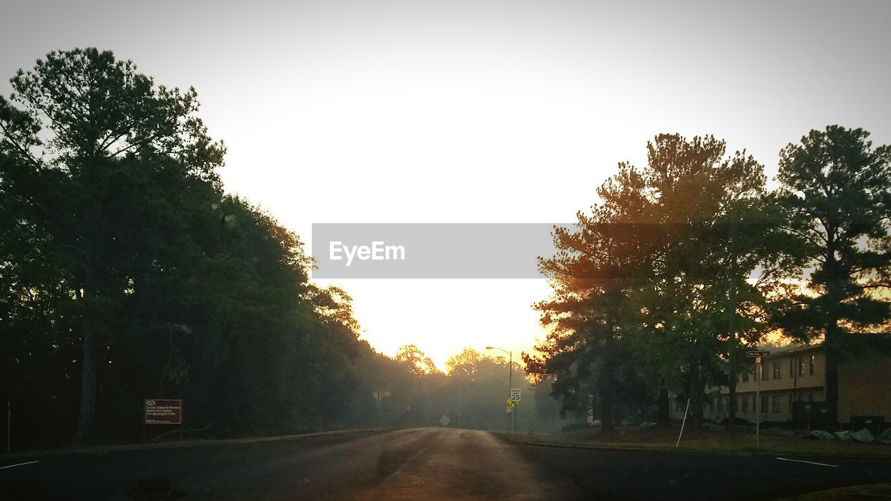 ROAD BY TREES AGAINST SKY