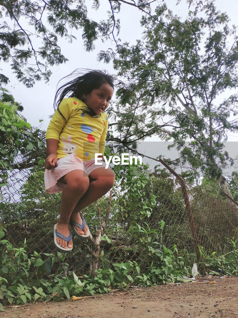 LOW ANGLE VIEW OF GIRL ON TREE