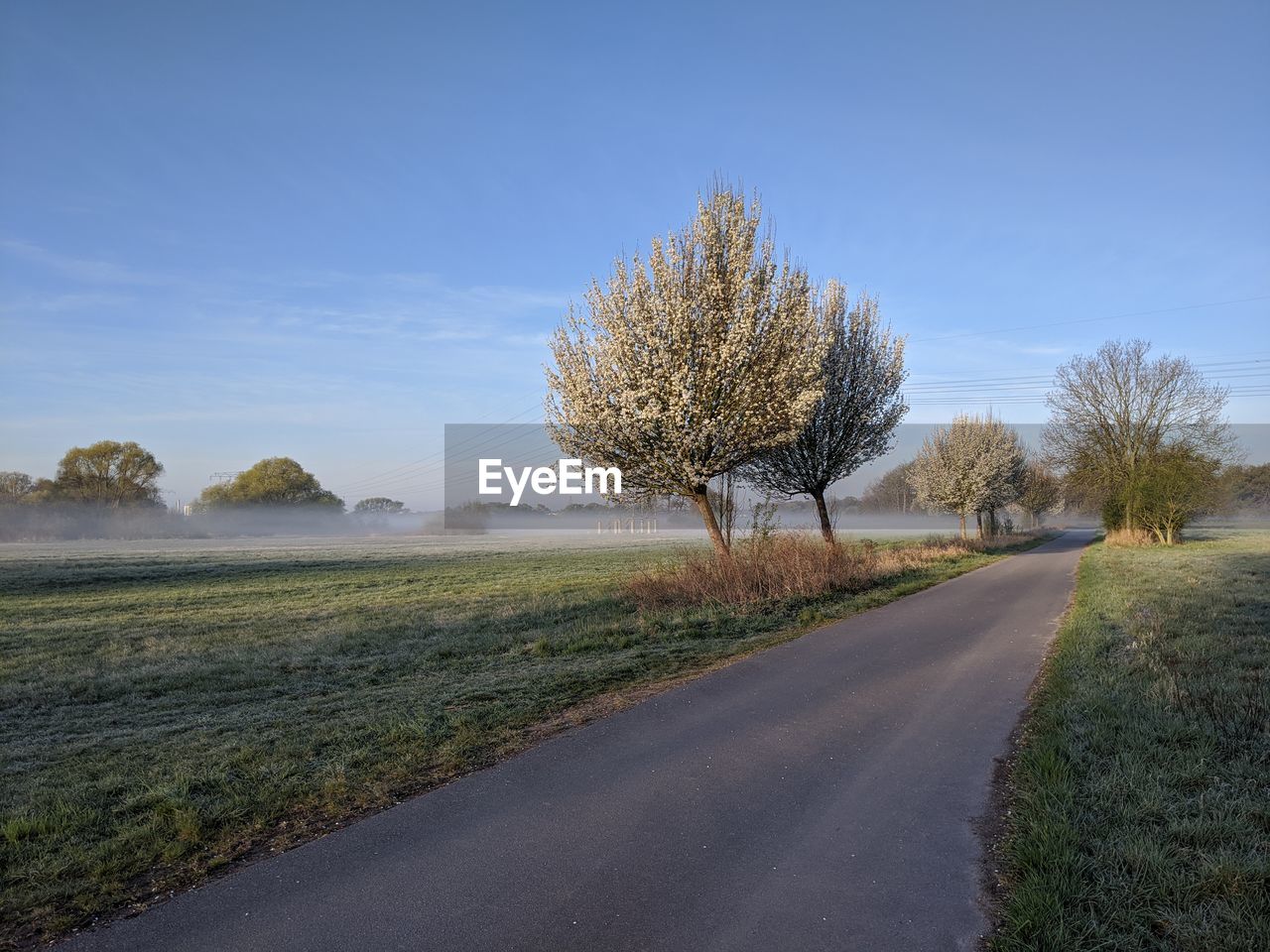 Road amidst trees on field against sky