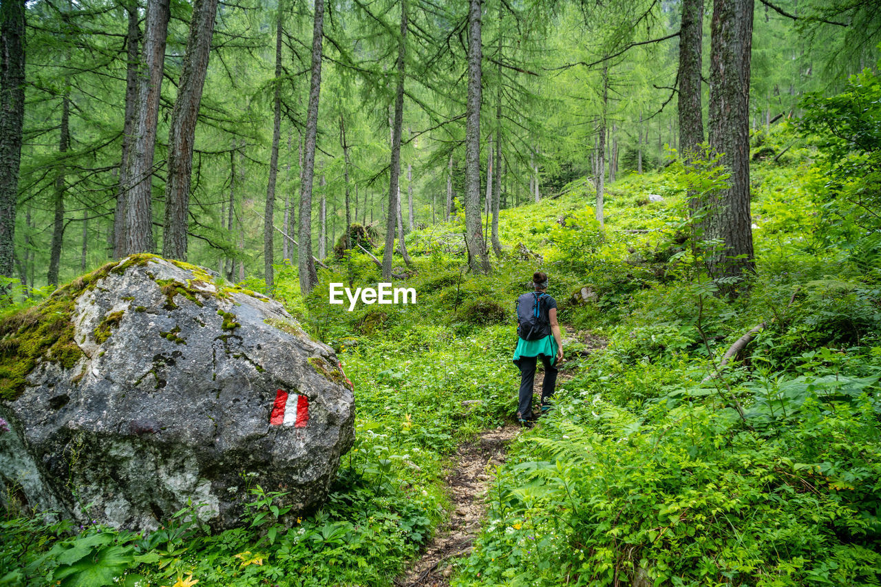 Woman hiking on alpine footpath in green forest in the austrian alps, postalm region, salzburg