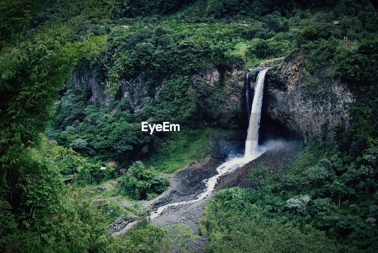 View of waterfall in rain forest