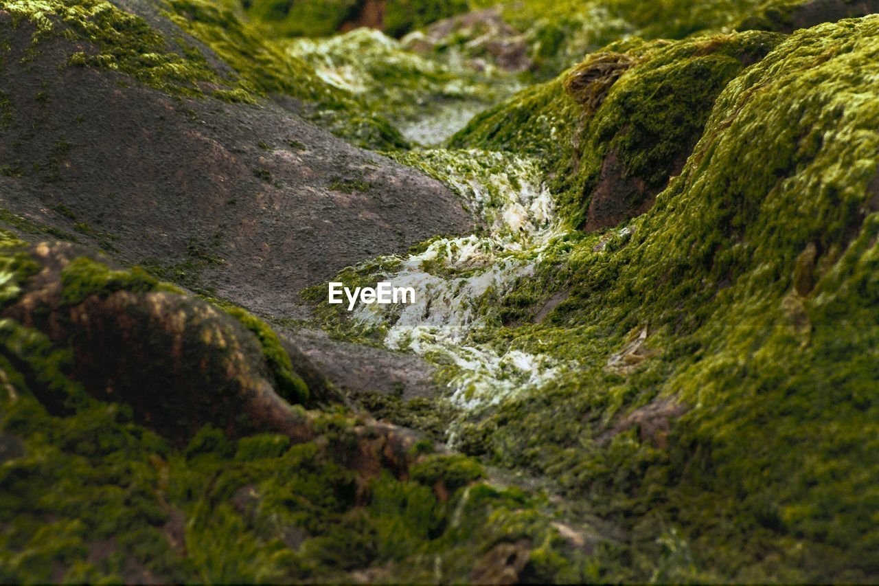 Close-up of stream flowing through rocks