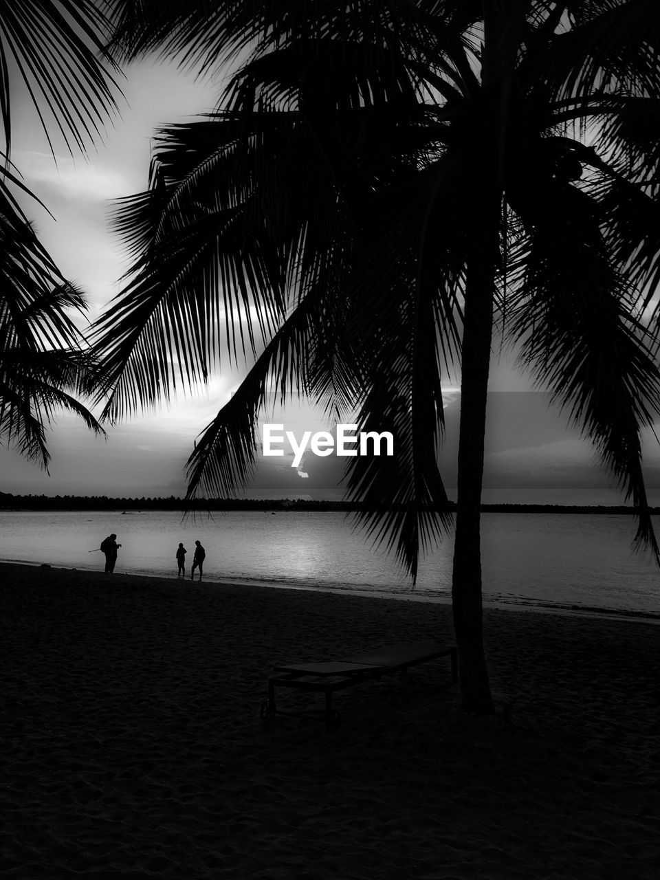 SILHOUETTE PALM TREE ON BEACH AGAINST SKY