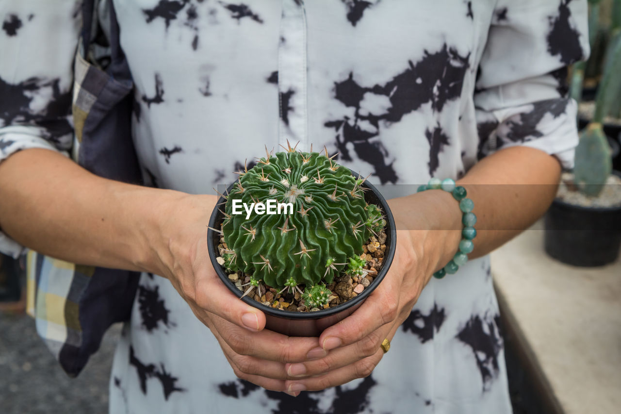 Midsection of person holding cactus in pot