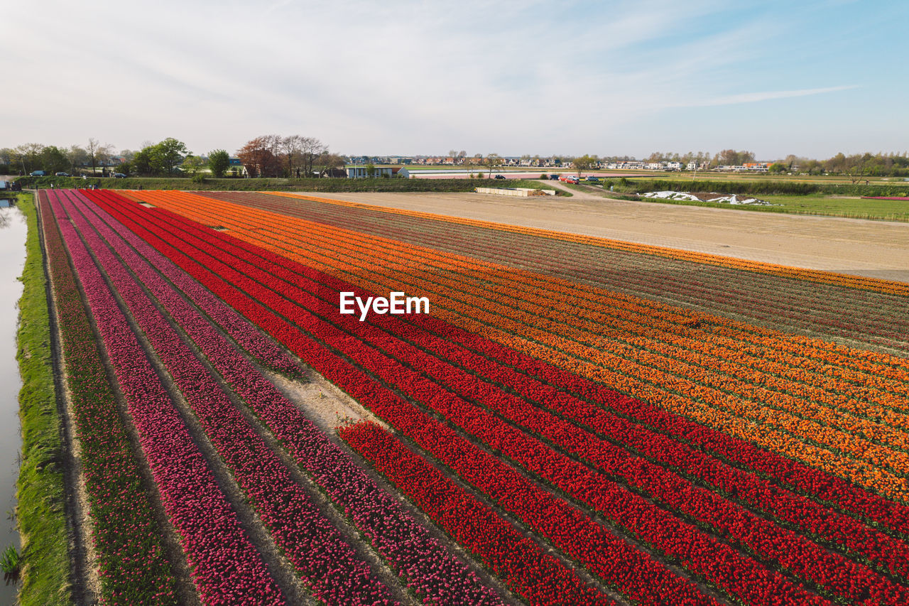 scenic view of agricultural field against cloudy sky