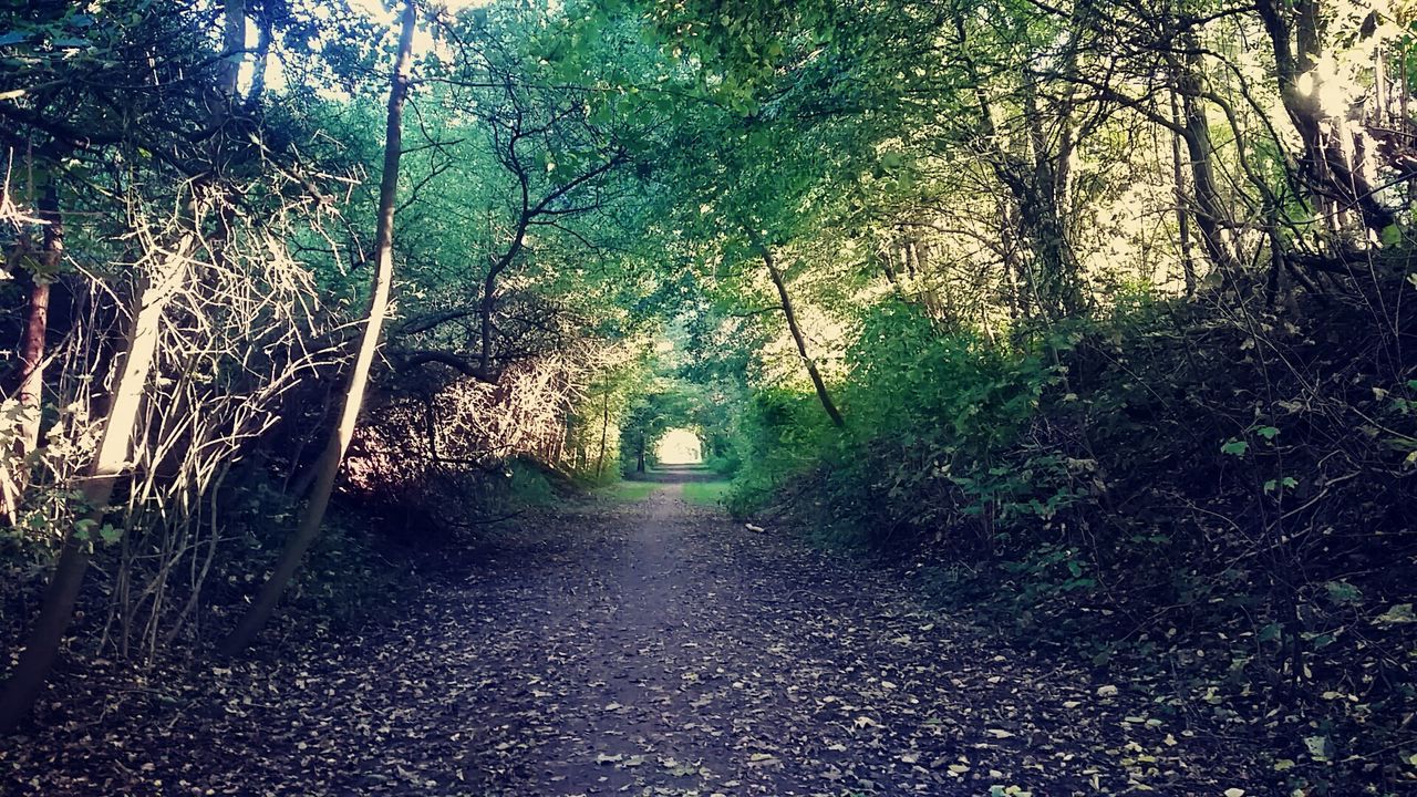 VIEW OF EMPTY ROAD