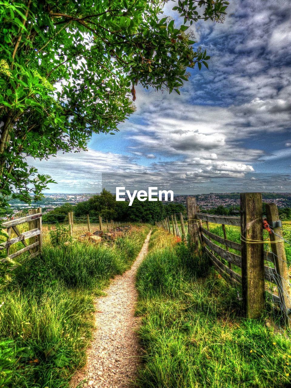 Trail amidst grassy field against cloudy sky