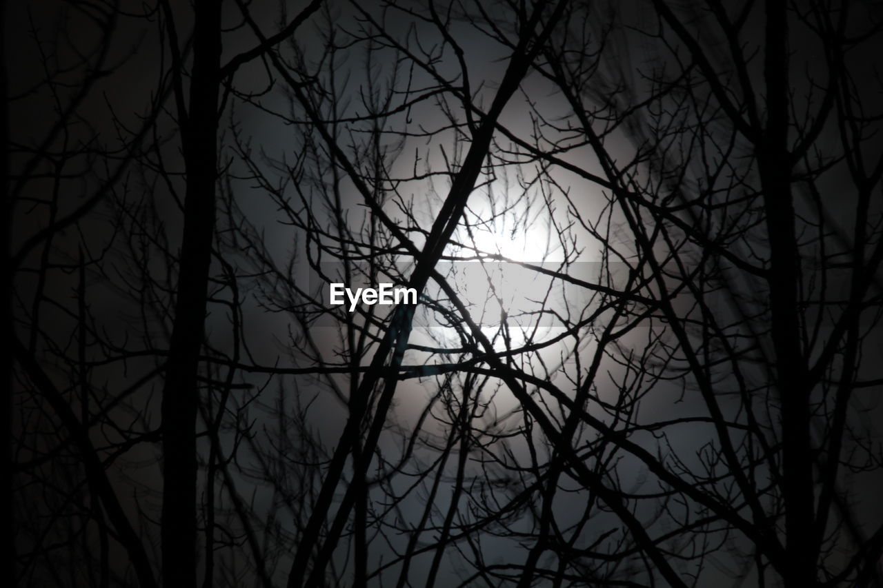LOW ANGLE VIEW OF SILHOUETTE BARE TREE AGAINST SKY