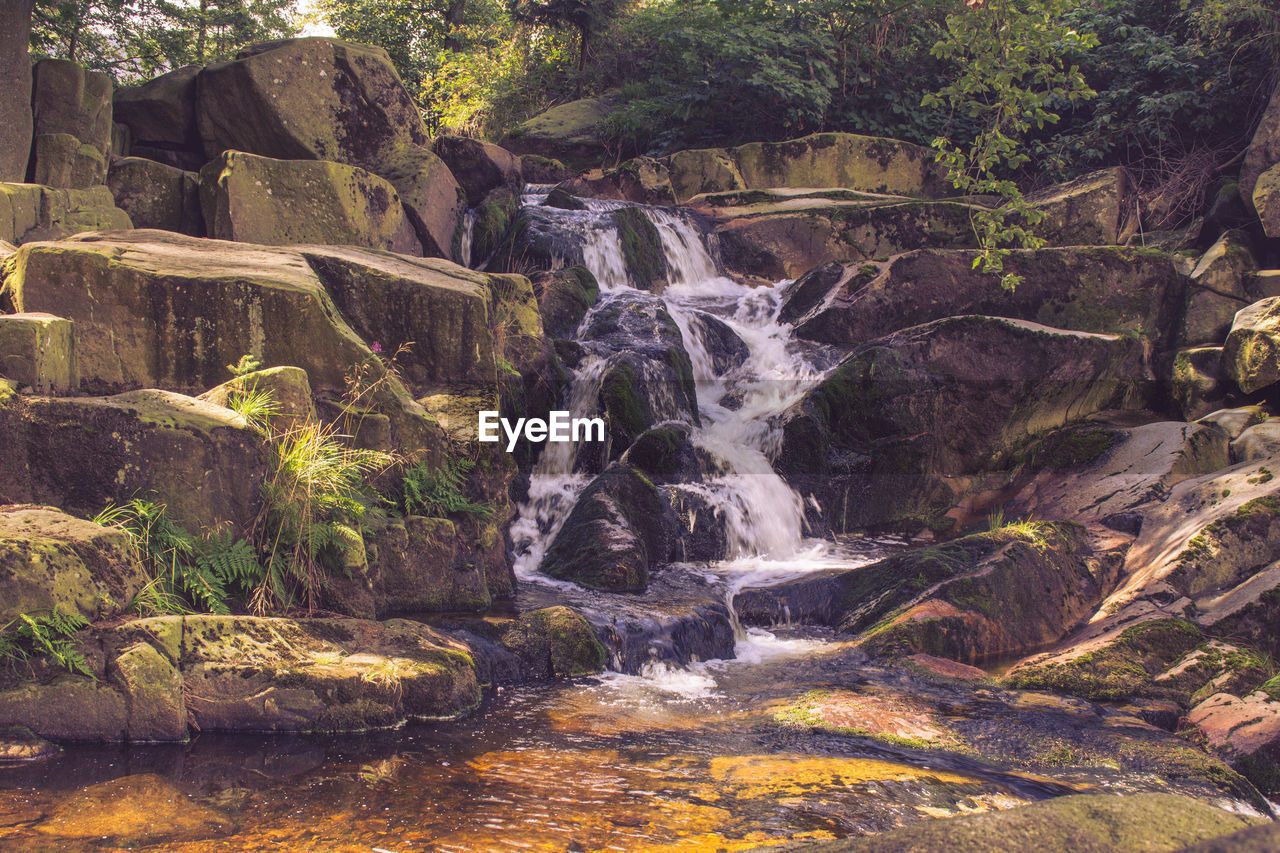 WATERFALL IN FOREST