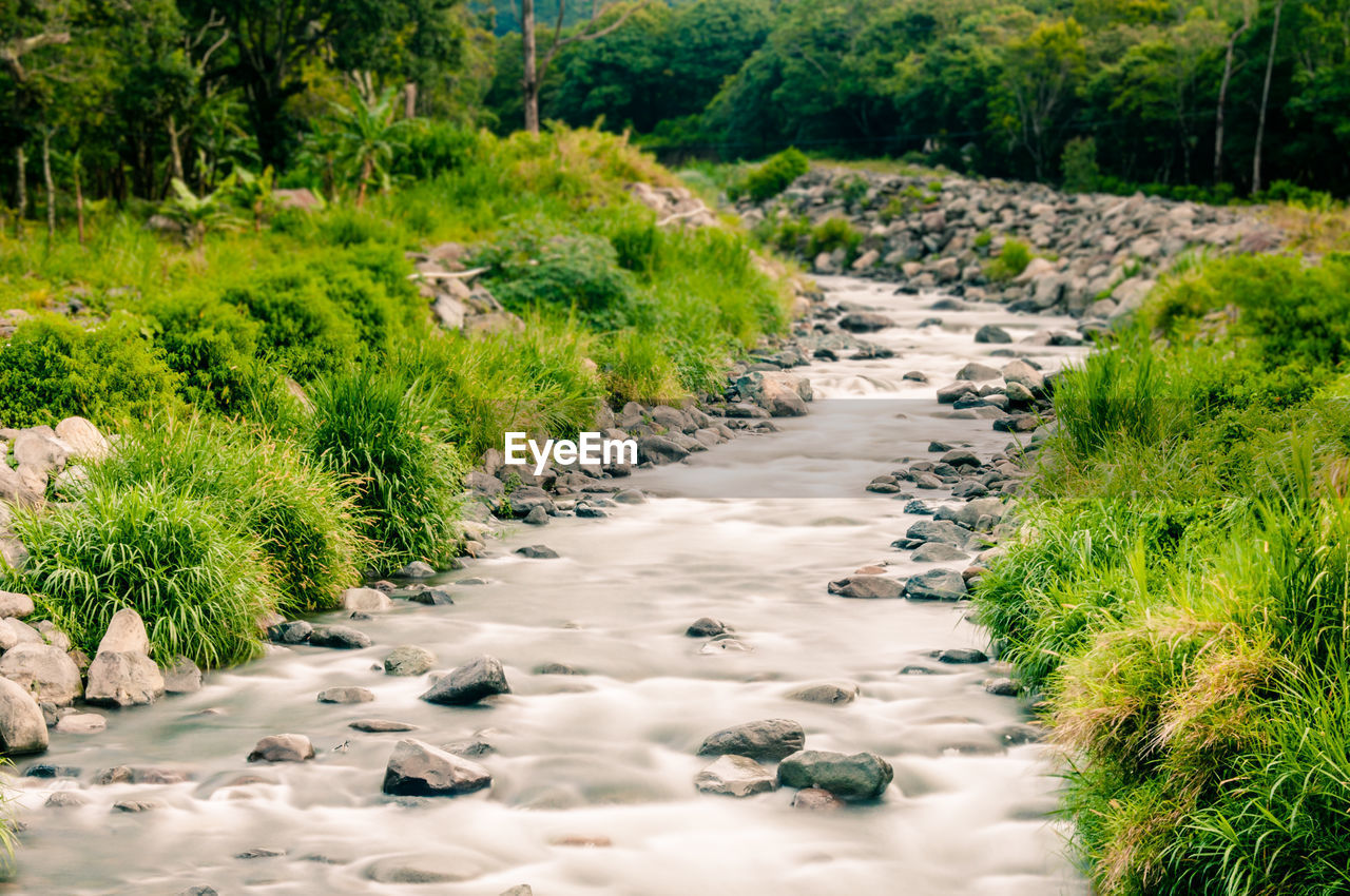 Scenic view of green landscape