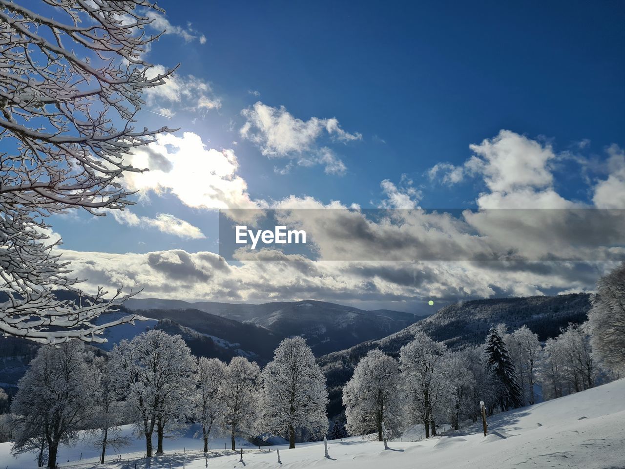 snow, winter, cold temperature, tree, sky, scenics - nature, environment, landscape, beauty in nature, mountain, plant, cloud, mountain range, nature, tranquil scene, blue, land, coniferous tree, tranquility, forest, pinaceae, pine tree, white, non-urban scene, frozen, no people, pine woodland, snowcapped mountain, travel, travel destinations, idyllic, woodland, day, sunlight, outdoors, tourism, rural scene, freezing, ice, remote, holiday, polar climate, deep snow