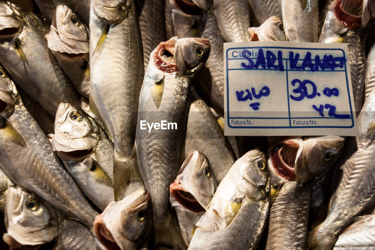 CLOSE-UP OF FISH AT MARKET