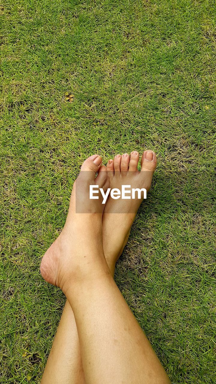 Low section of woman relaxing on grass