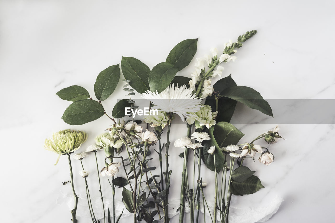 Variety of white flowers and greenery laying on white surface