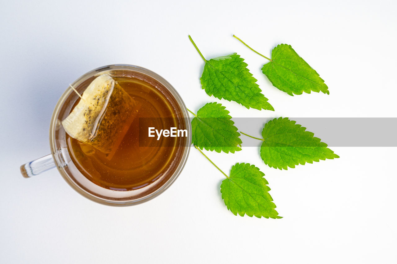 Nettle infusion in transparent cup, a sachet in water, a white saucer  and nettle leaves. 