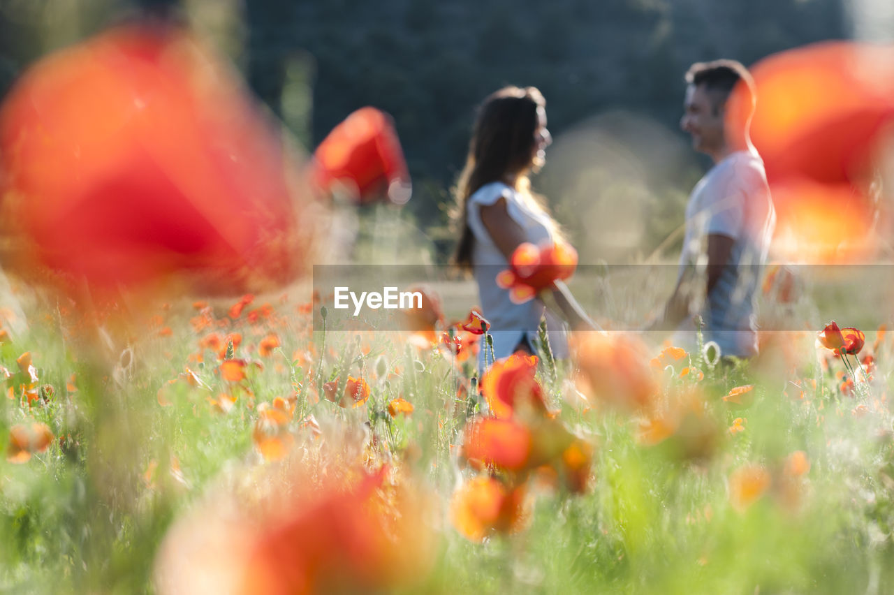 Young romantic couple standing in field of poppies during springtime