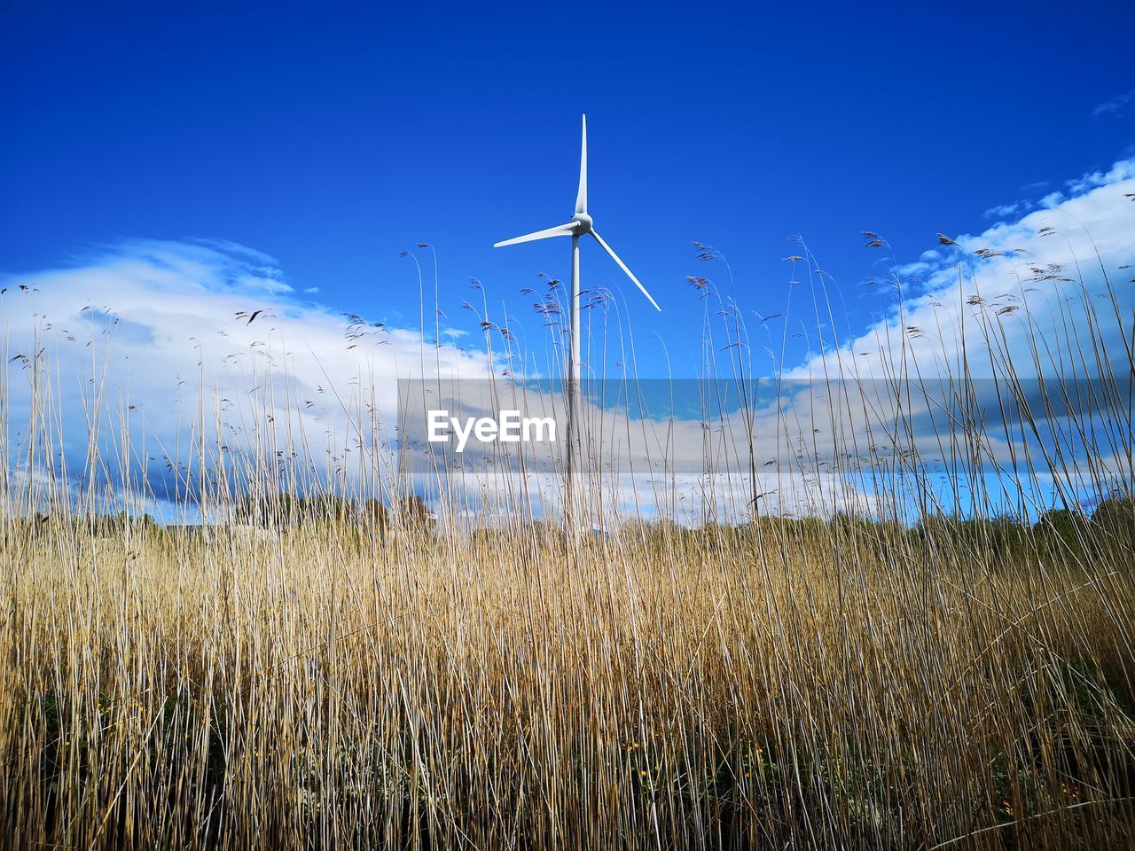 Windmill on field against sky