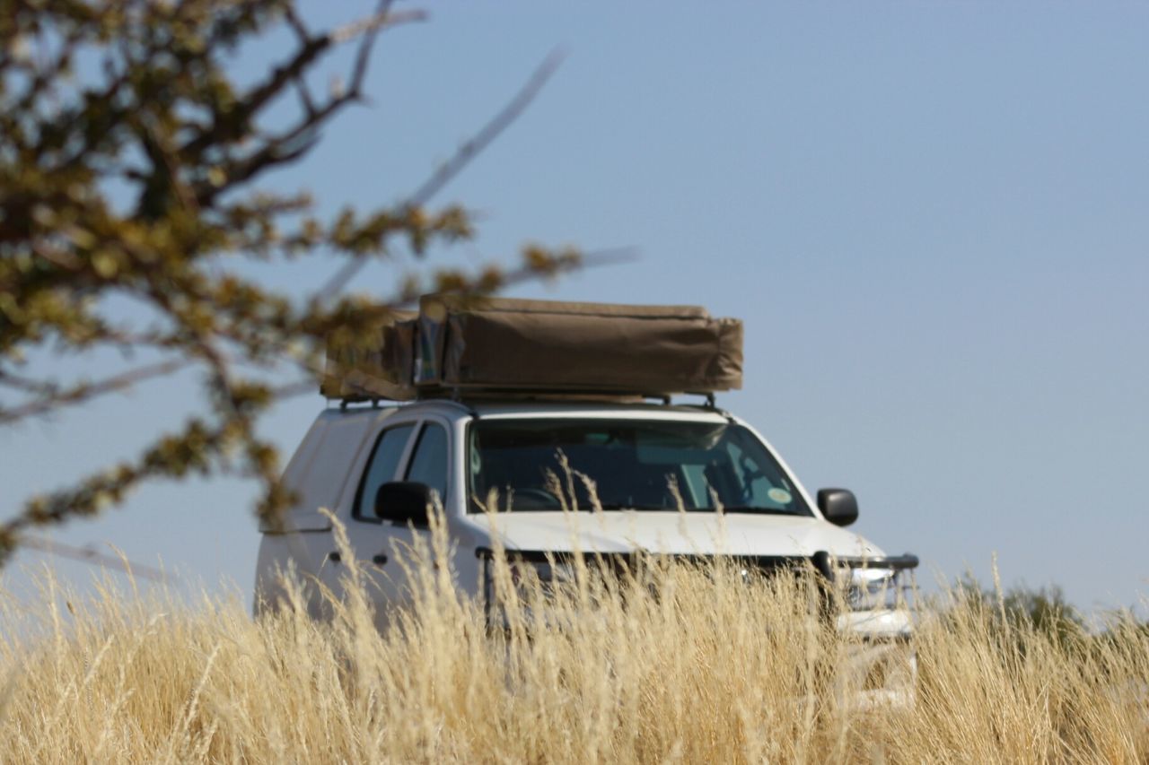 Sport utility vehicle on grassy field