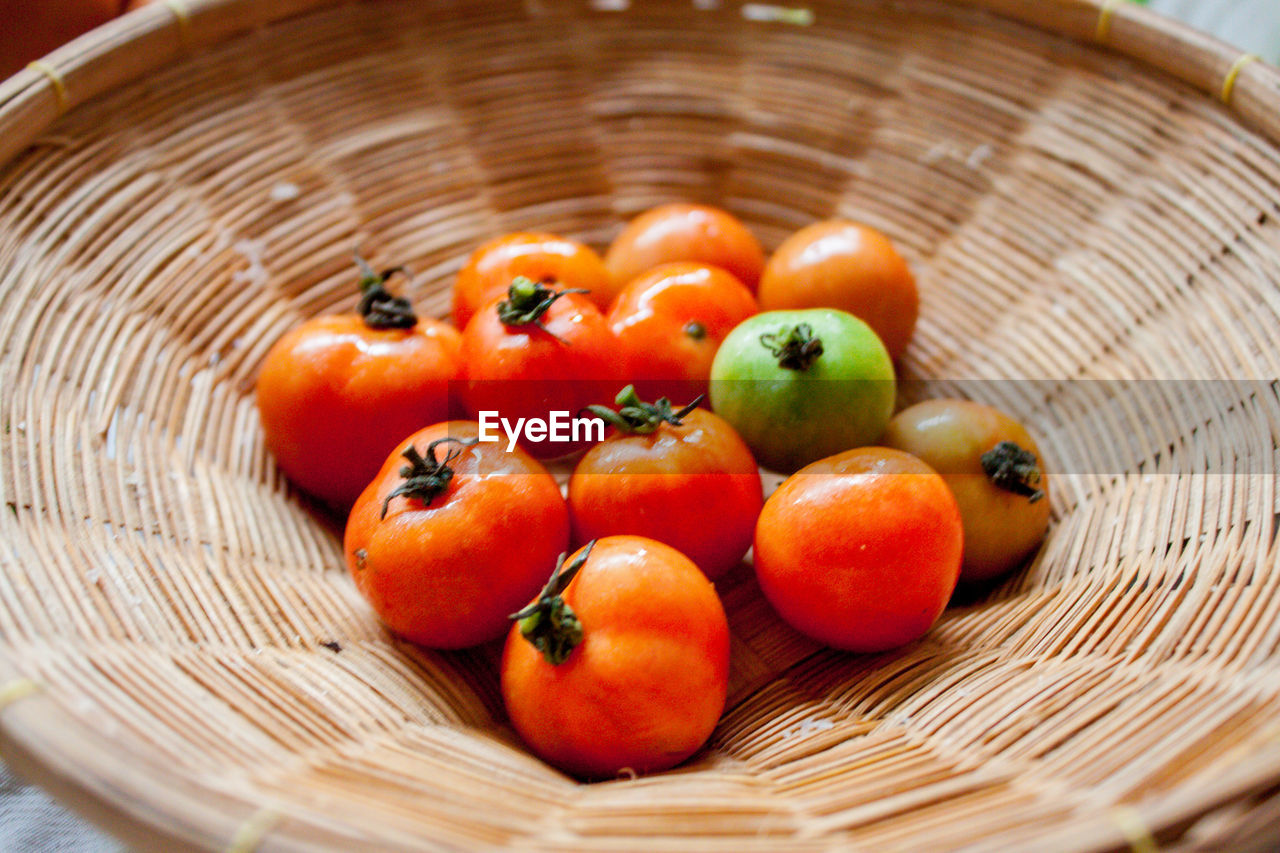CLOSE-UP OF TOMATOES IN WICKER BASKET