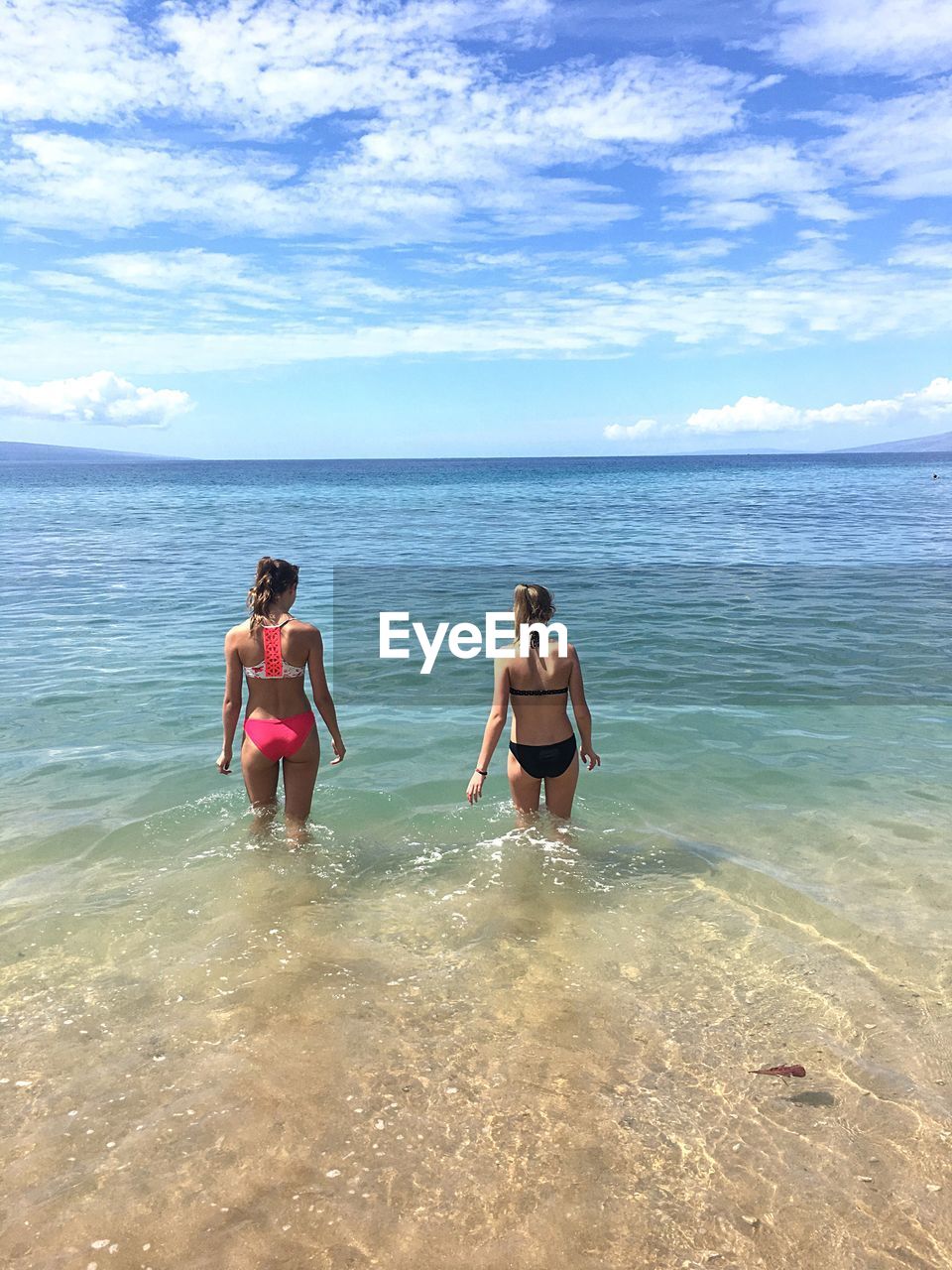 Rear view of women standing in sea against sky