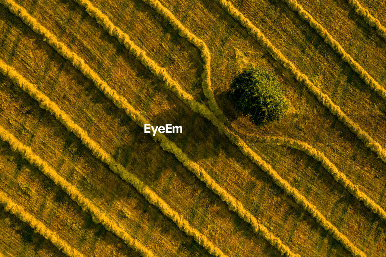 Aerial view of a field. beauty and patterns of a cultivated farmland in slovakia from above.