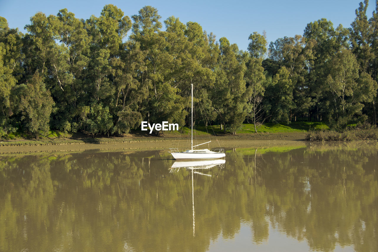 Scenic view of lake by trees against sky