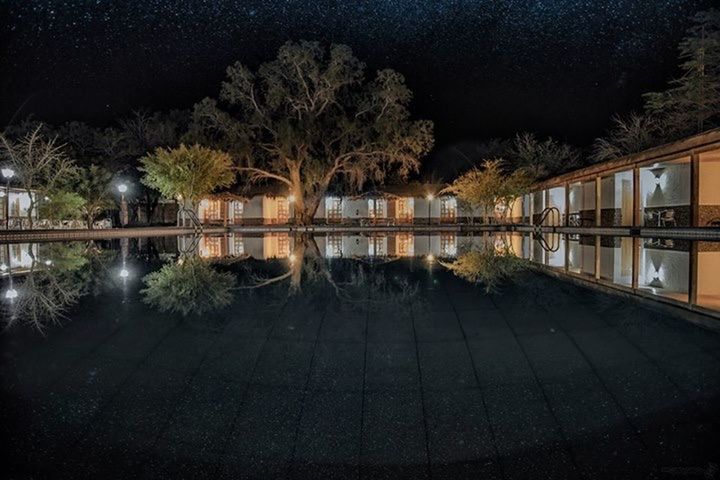 REFLECTION OF TREES IN WATER AT NIGHT