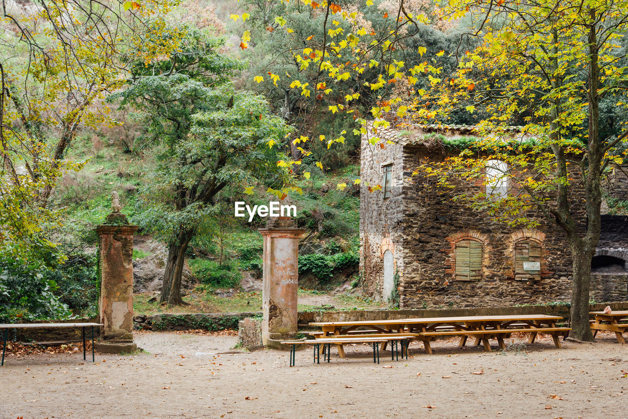 plant, tree, bench, autumn, architecture, garden, nature, growth, no people, seat, built structure, flower, day, park, leaf, outdoors, green, beauty in nature, park - man made space, estate, park bench, tranquility, plant part, building, building exterior, rural area, furniture, footpath