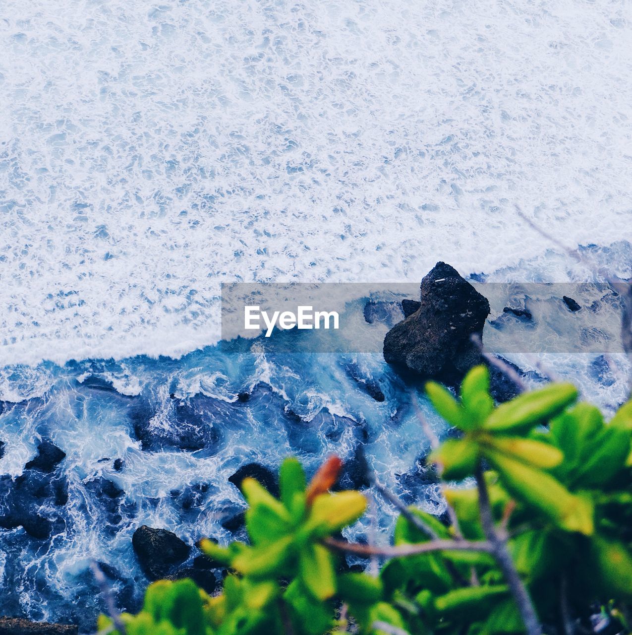 CLOSE-UP OF SNOW ON WATER