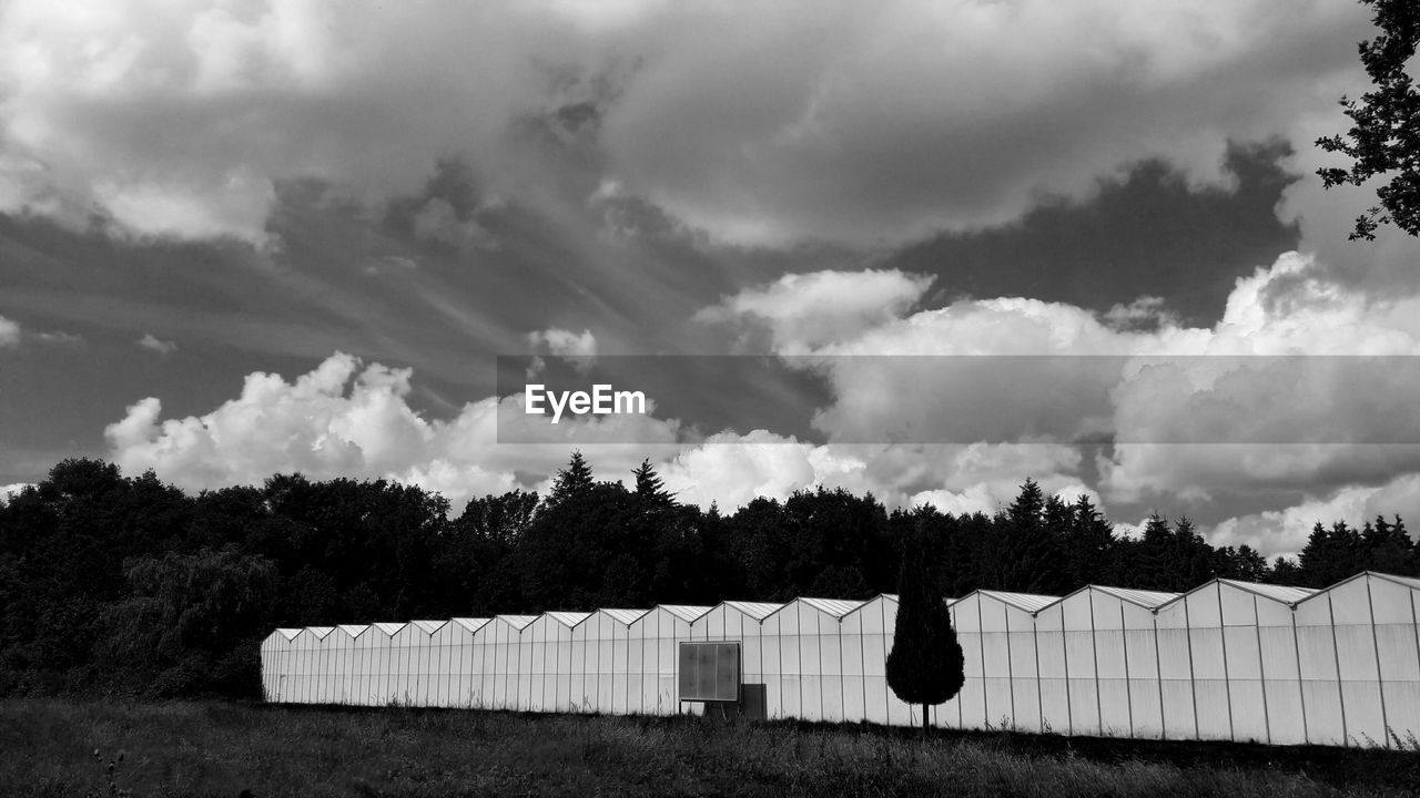 Panoramic view of trees against sky