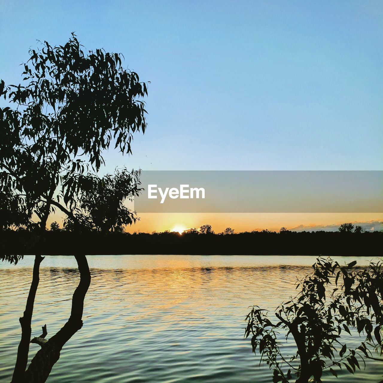 SILHOUETTE TREE BY LAKE AGAINST SKY