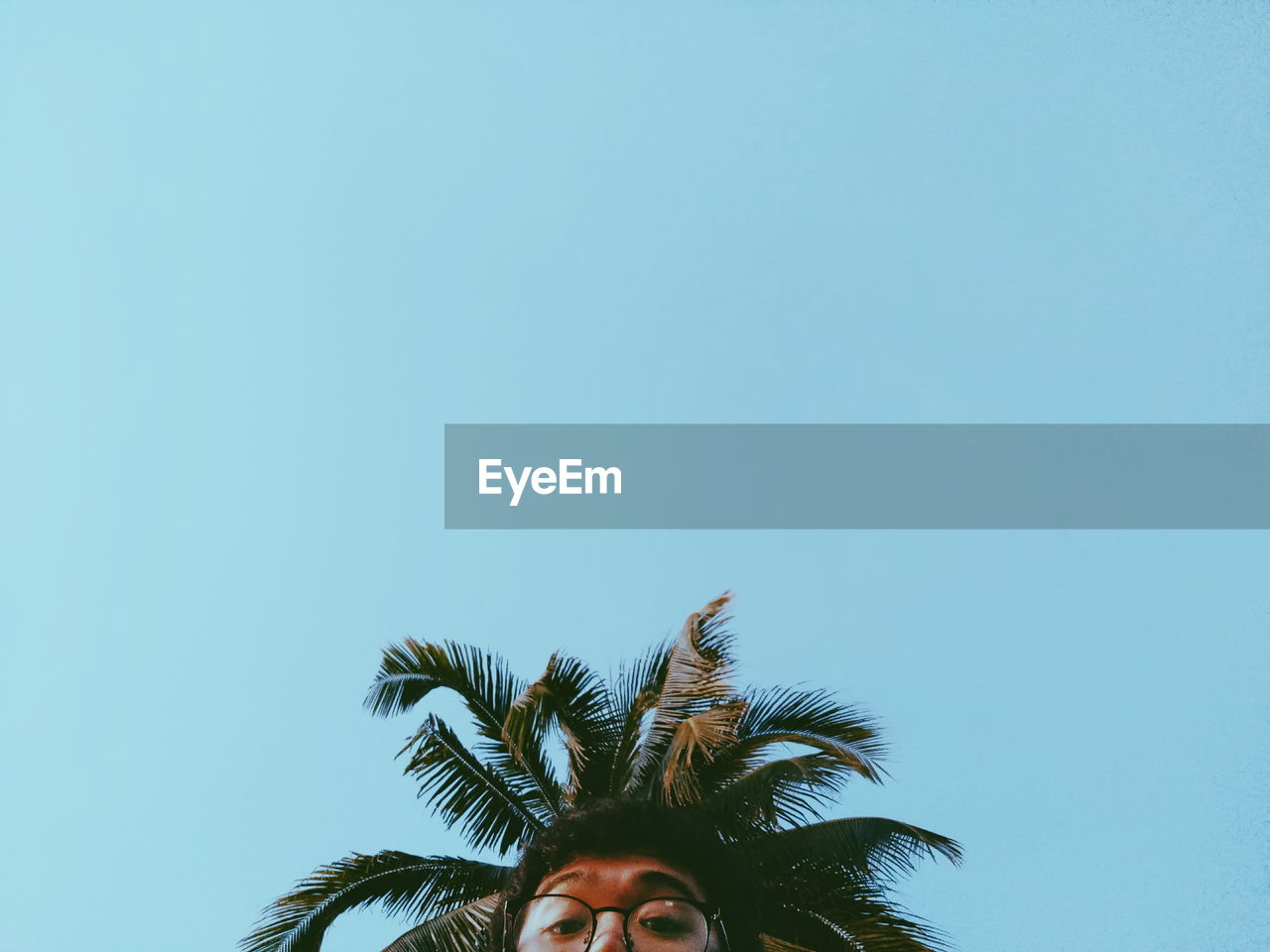 Cropped image of man and palm tree against clear blue sky