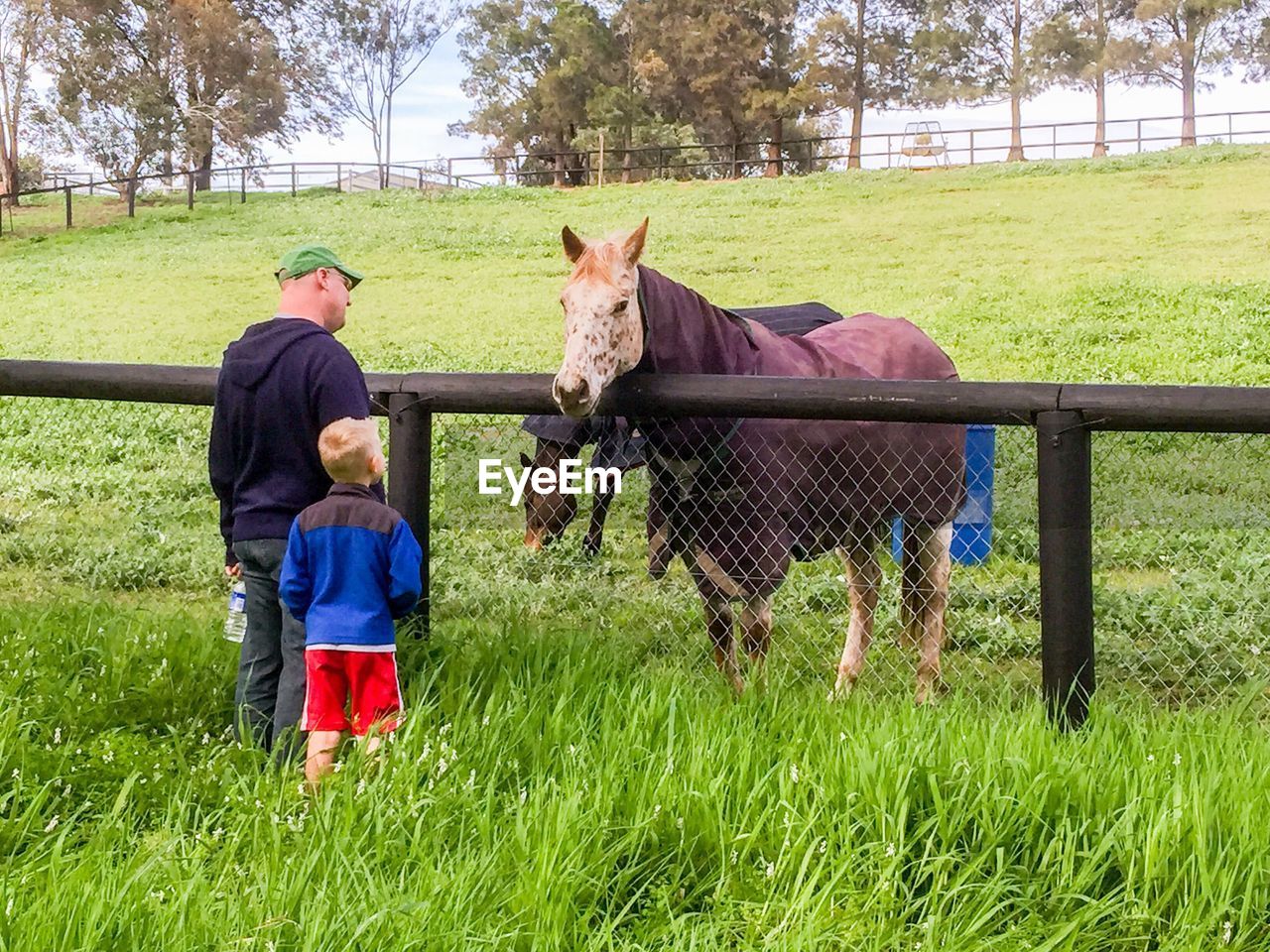 People with horse standing on field