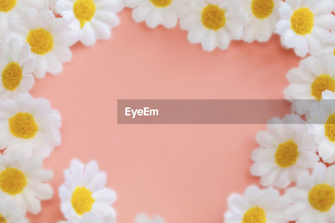 close-up of wedding rings on pink background