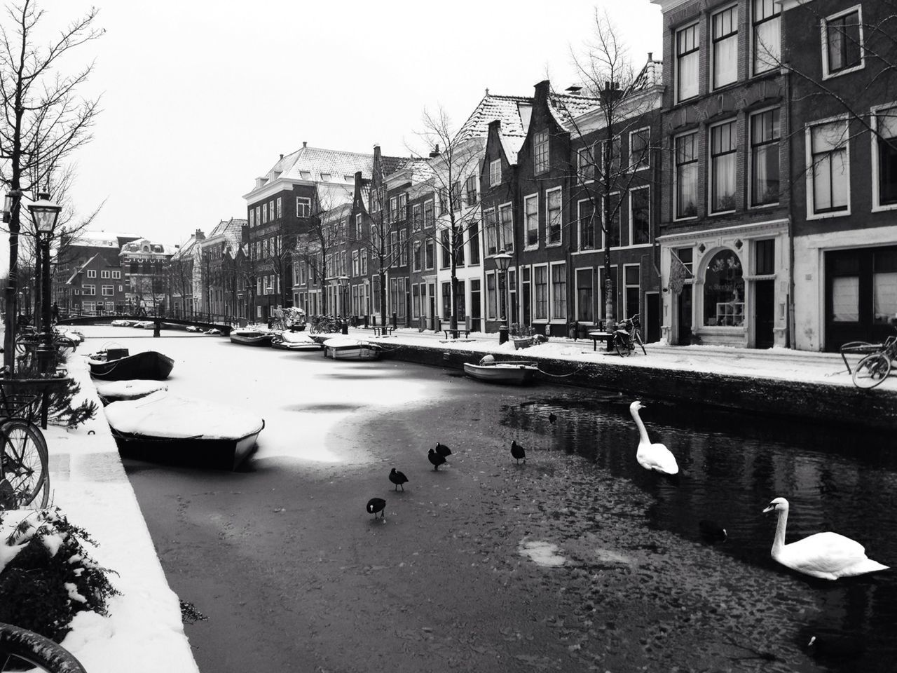 Boats in frozen river along houses