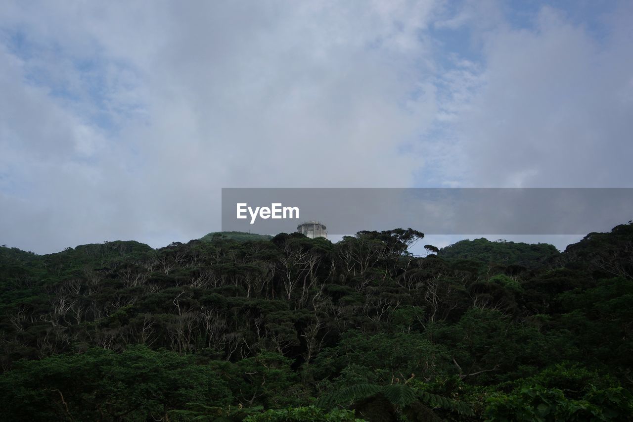 LOW ANGLE VIEW OF MOUNTAIN AGAINST SKY