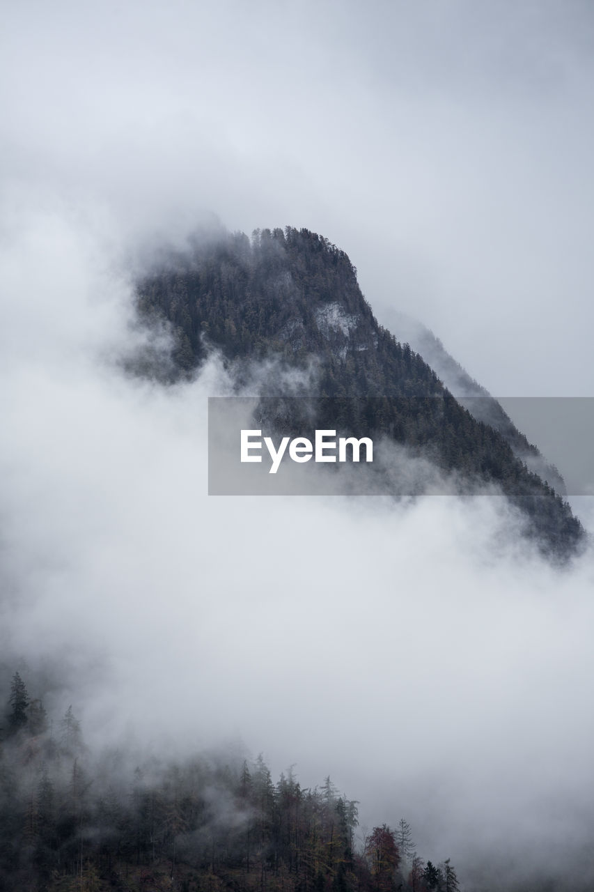 Trees on mountain against sky