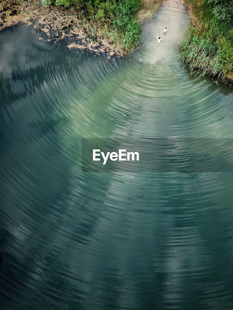 High angle view of river amidst trees