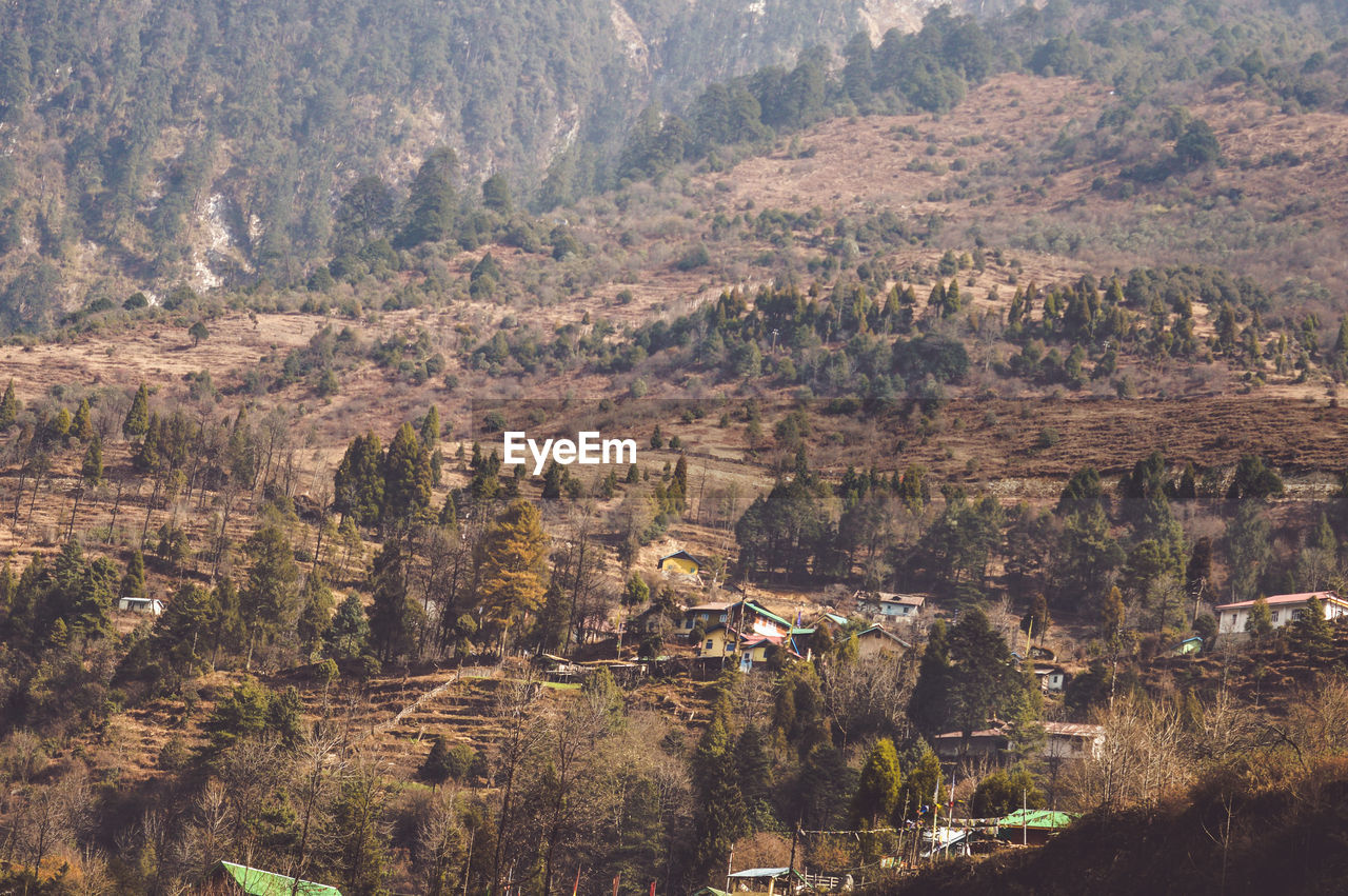 High angle view of trees on mountains landscape