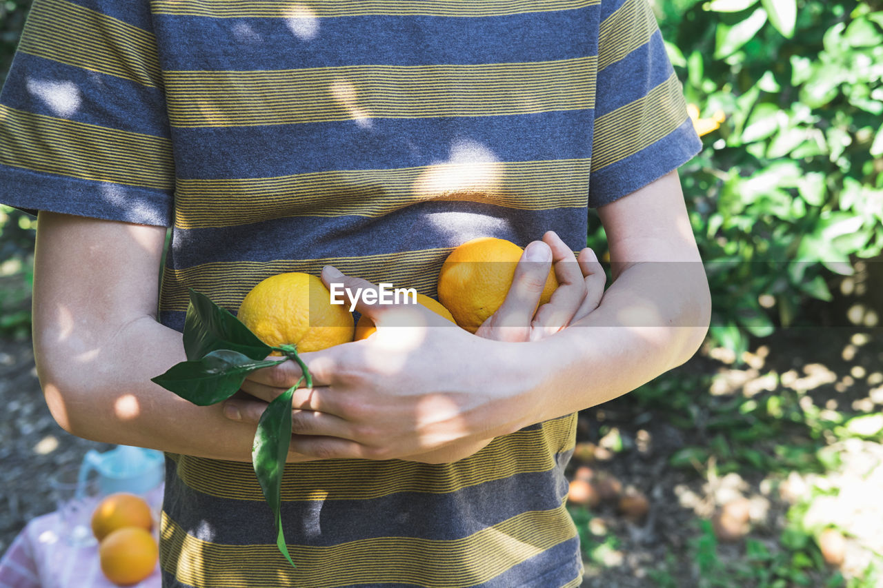 The boy stands among the trees in the garden and holds ripe oranges in his hands.