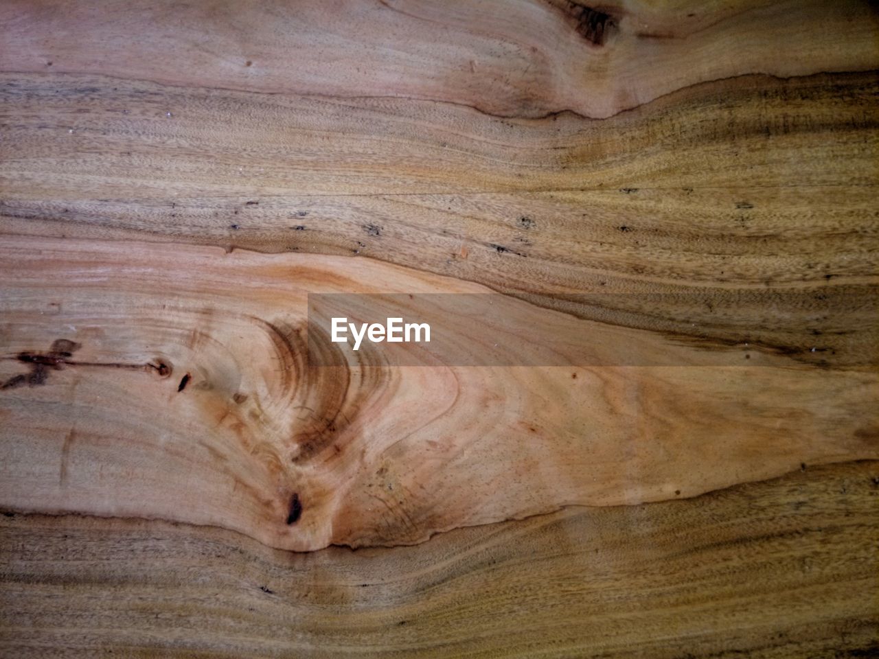 FULL FRAME SHOT OF WOOD WITH TREE